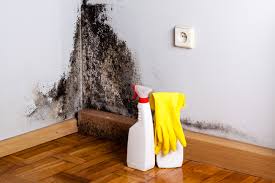 Best Residential Mold Inspection & Testing  in Navarre, FL